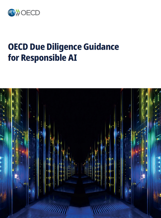 [Due Diligence Guidance] OECD Due Diligence Guidance for Responsible AI